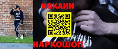 стафф Дубна
