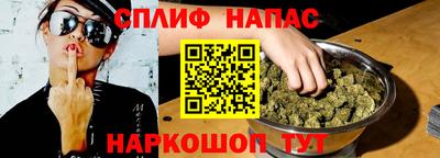стафф Дубна