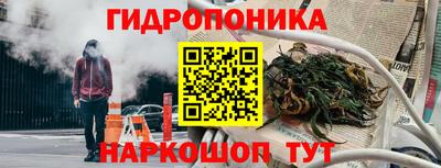 стафф Дубна
