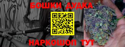 стафф Дубна
