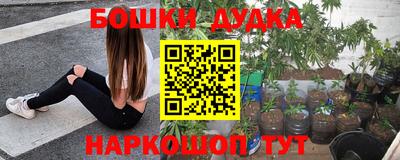 стафф Дубна